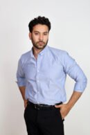 Solid Basic Oxford Shirt